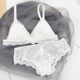 Wriufred Underwear women triangle cup lace beautiful bra set ultra-thin sexy girl sweet lingerie panties set